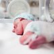 abortion survivor, born-alive, premature baby