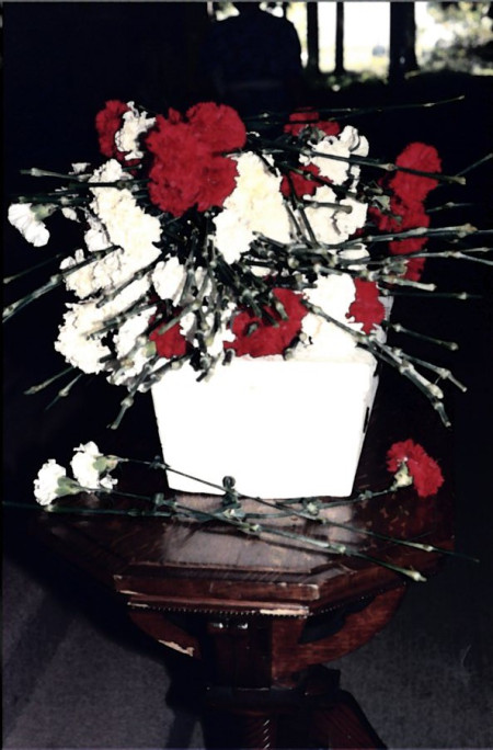 Image: Flowers on casket holding aborted babies