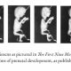 Image: Davenport Hooker fetal specimens featured in First Nine Months of Life (Image credit: Icons of Life: A Cultural History of Human Embryos)