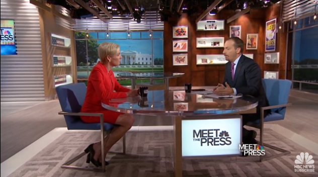 Image: Cecile Richards on Meet the Press 2015