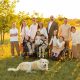 adoption, adopted, foster care