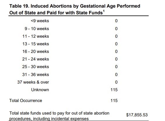 Image: Tax funded out of state abortions for Minnesota 2017