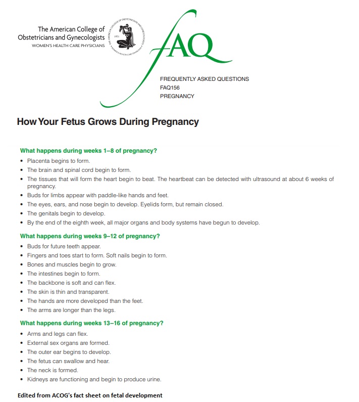 Image: ACOG Fetal development