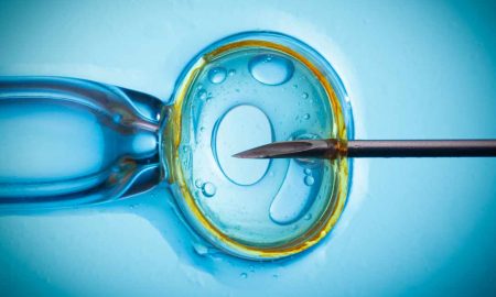 chimeras, abortion, IVF
