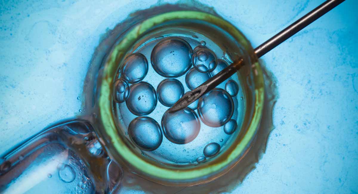 IVF, embryo