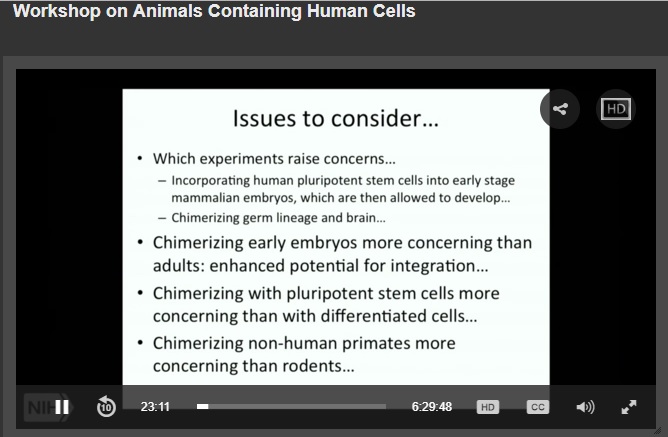 Image: NIH Workshop concerns over chimerizing embryos