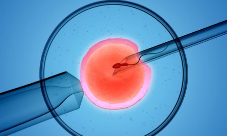 IVF sperm donor