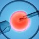 IVF sperm donor