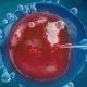 eugenics