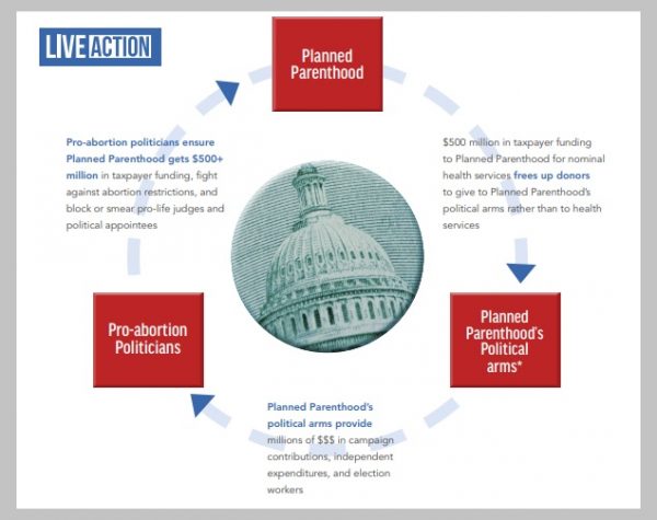 Image: Planned Parenthood political money laundering scheme (Image: Report Live Action)