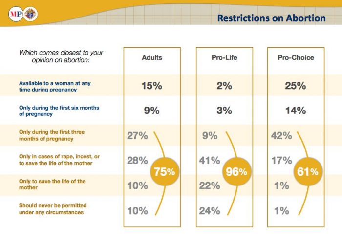 2019 Marist Poll abortion