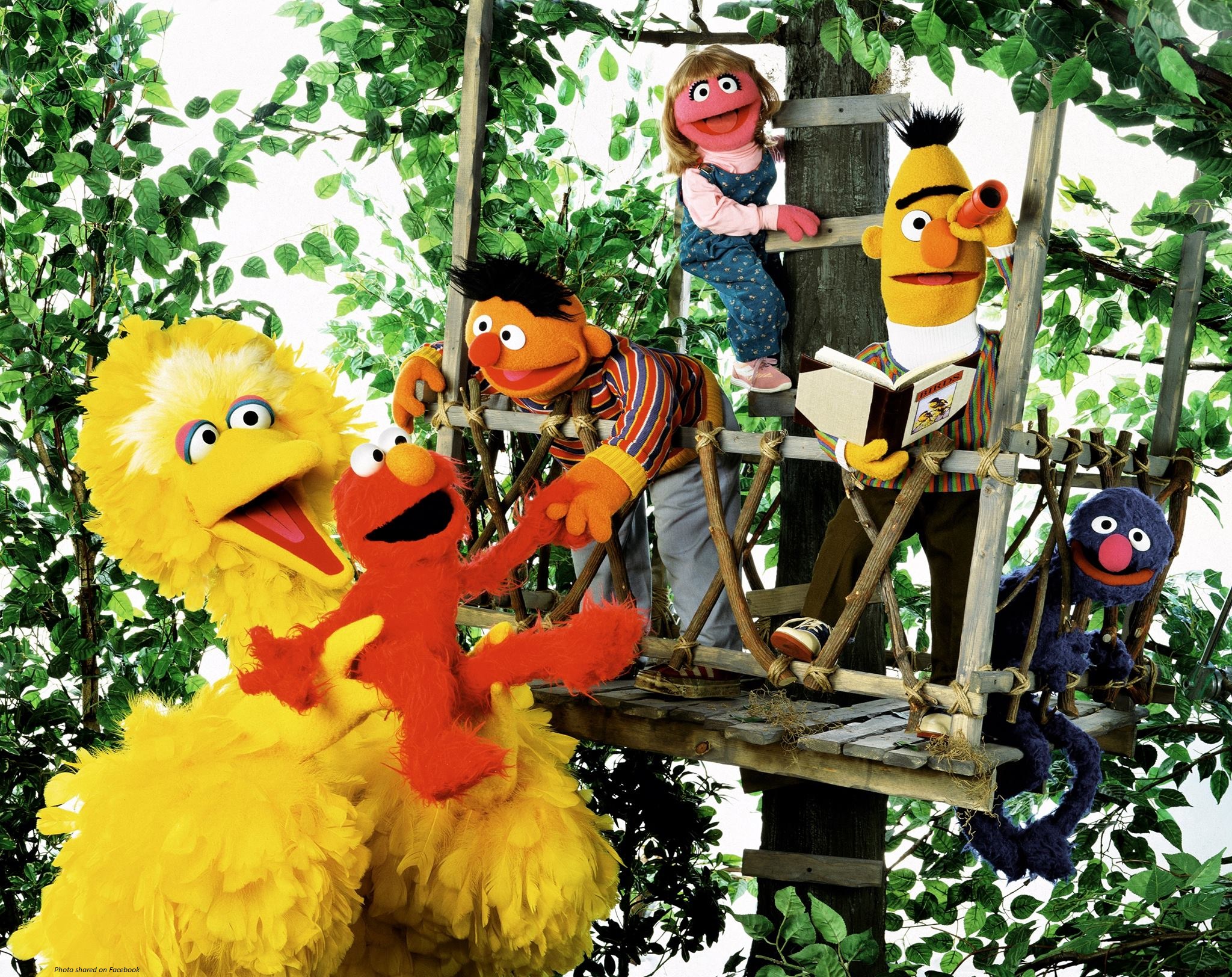 Sesame Street, Down syndrome