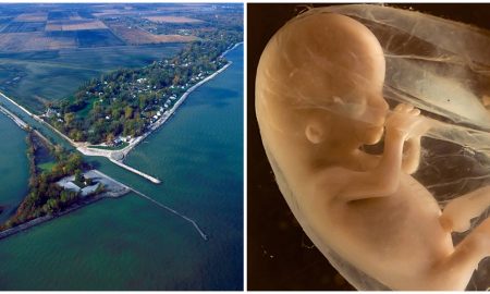 Lake Erie, preborn, Ohio