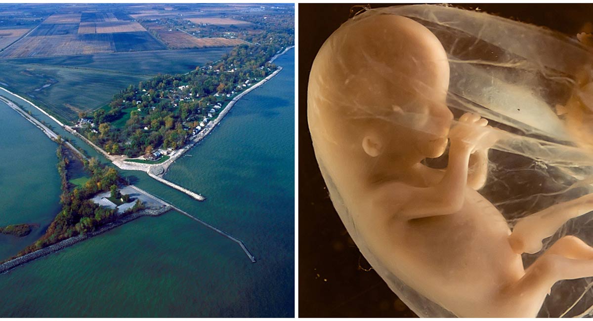 Lake Erie, preborn, Ohio