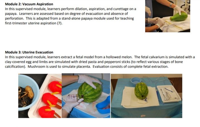 Image: UCSF abortion training uses melons and Papaya