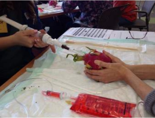 Image: UCSF abortion training uses pitaya of dragonfruit to simulate abortion complications