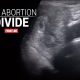 abortion divide