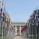 United Nations, euthanasia, iceland, UN