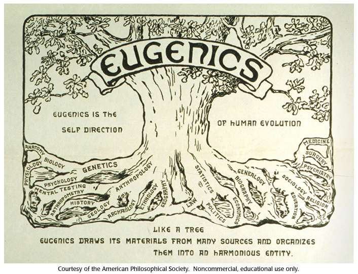 Image: Eugenics Tree (Image: Courtesy of the APS) 