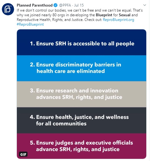 Image: Planned Parenthood Blueprint for sexual reproductive abortion rights tenants (Image: Twitter) 