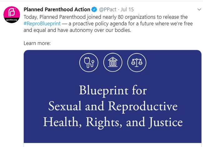 Image: Planned Parenthood Blueprint for sexual reproductive abortion rights (Image: Twitter)