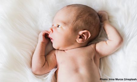 IVF, surrogacy, surrogate