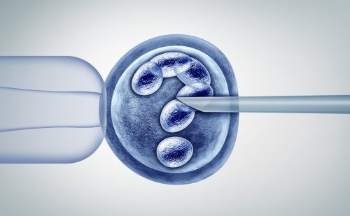 Surrogacy campaign group warns against egg donation in UK