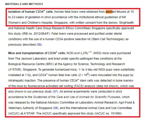 Image: Humanized Mice program used aborted fetal babies