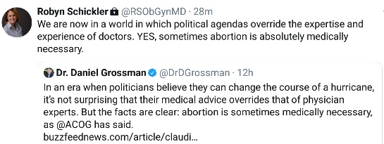 Image: Robyn Schickler calls abortion medically necessary (Image: Twitter) 
