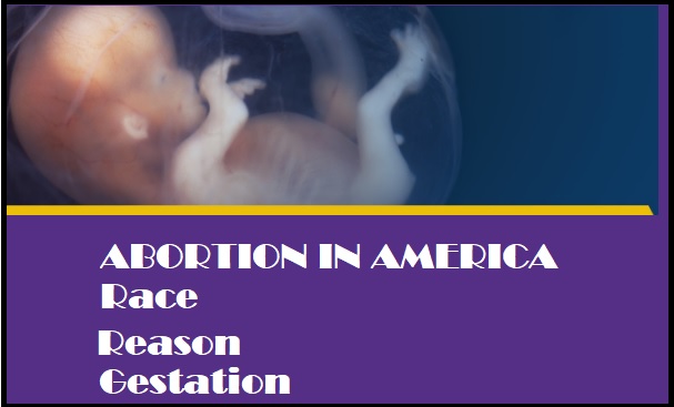 Image: Abortion stats in USA race gestation reason