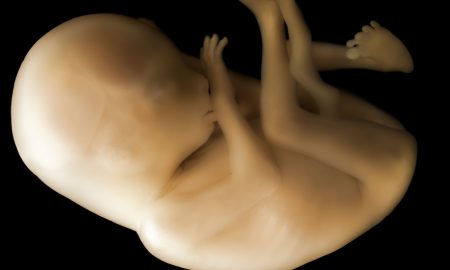 aborted babies