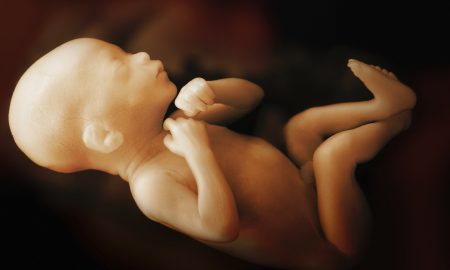 fetal pain, tiktok, pro-life, preborn children, Roe