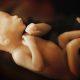 fetal pain, tiktok, pro-life, preborn children, Roe, Wyoming