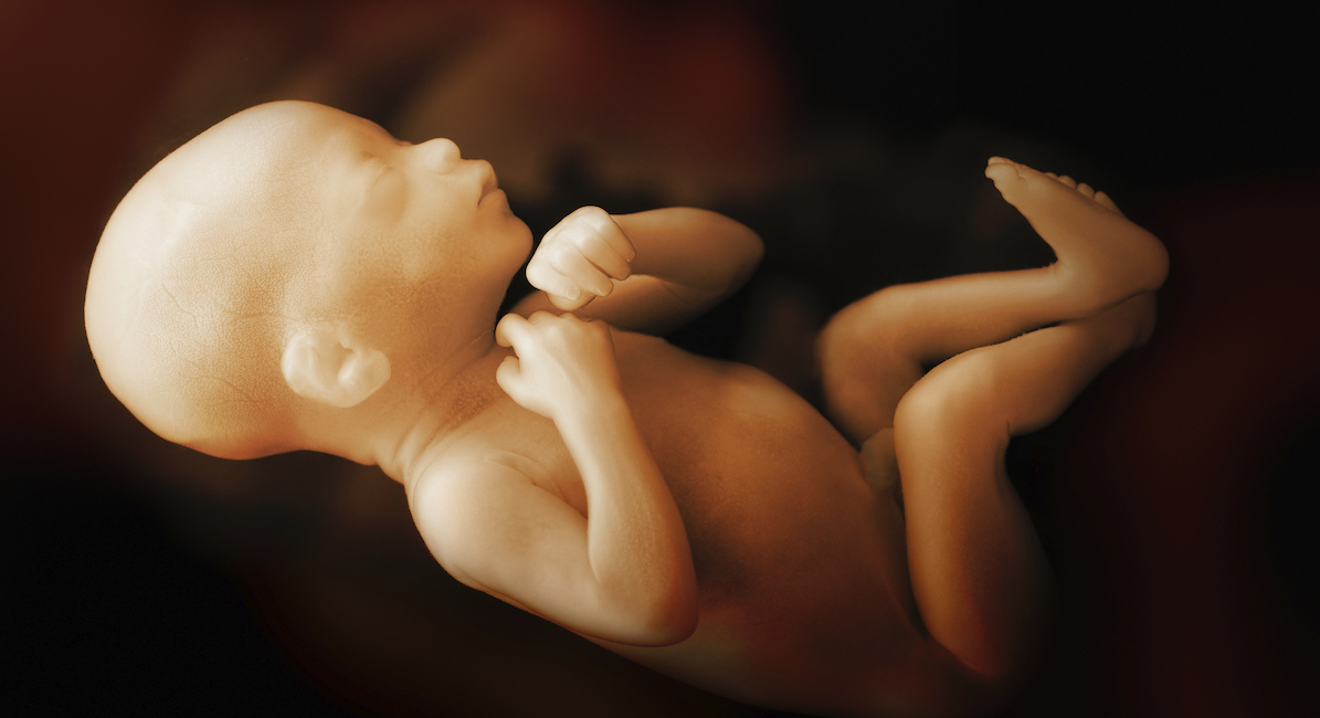 fetal pain, tiktok, pro-life, preborn children
