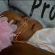 preemie