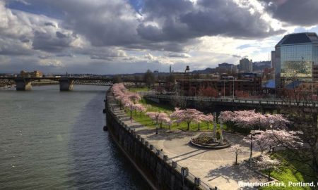 Portland, free speech
