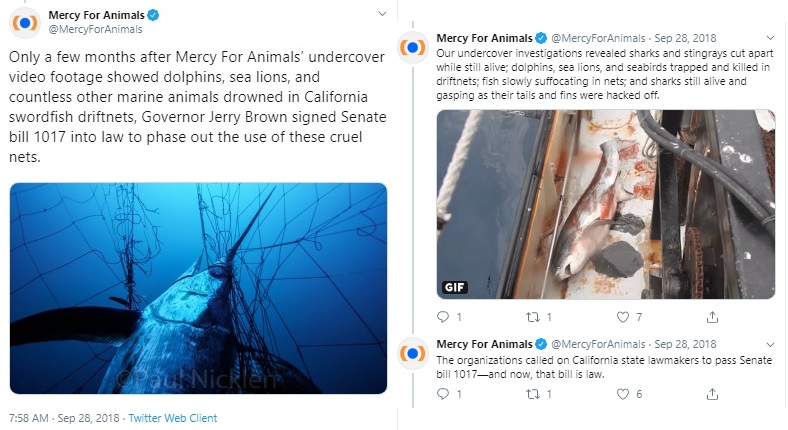Image: Mercy for Animals Tweet undercover video (Image: twitter) 