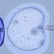 IVF, Hungary, China