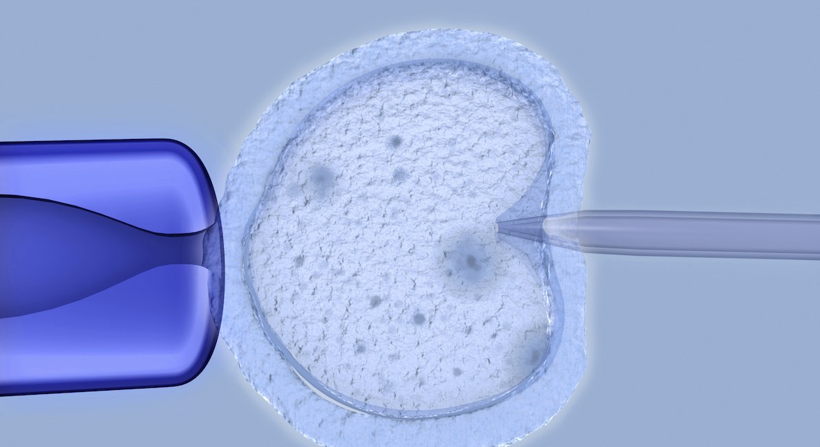 IVF, Hungary, China