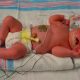 newborn