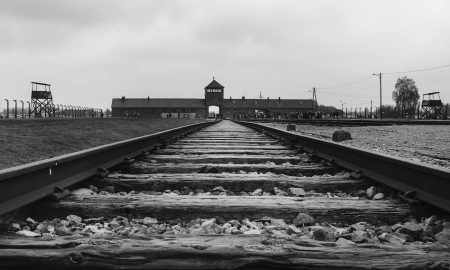 Nazi
