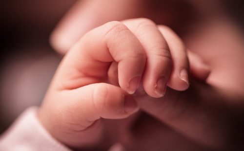 ‘I felt at peace’: Idaho woman adopted at birth reunites with biological family