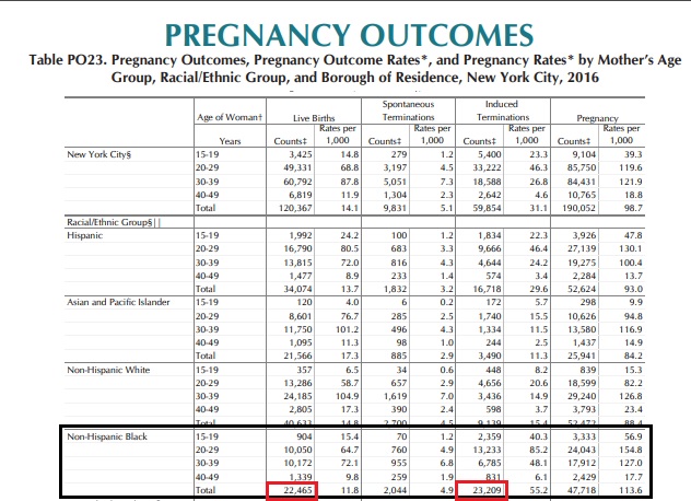 Image: New York City abortion v live births, 2016 (Graph: NYC Vital Statistics) 