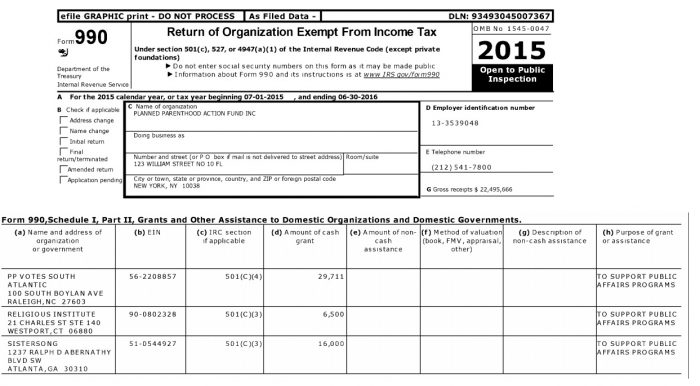 Image: Sister Song funded by Planned Parenthood 2015