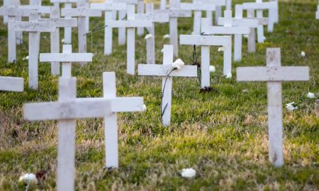 crosses, memorial, unborn, aborted