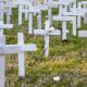 crosses, memorial, unborn, aborted