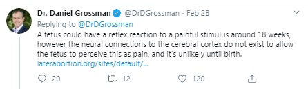 Image: Abortionist Daniel Grossman on fetal pain (Image: Twitter)