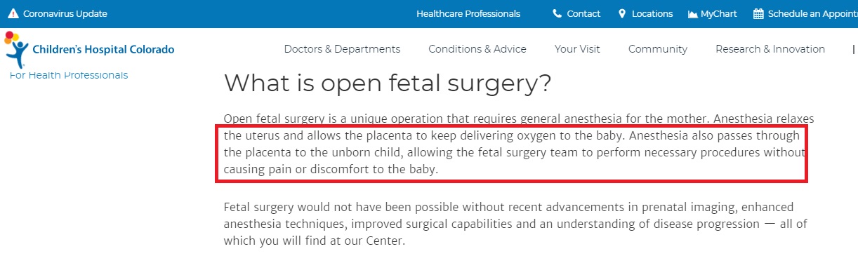 Image: Fetal Pain: Anesthesia for comfort of mother and unborn baby (Image: Children's Hospital Colorado) 