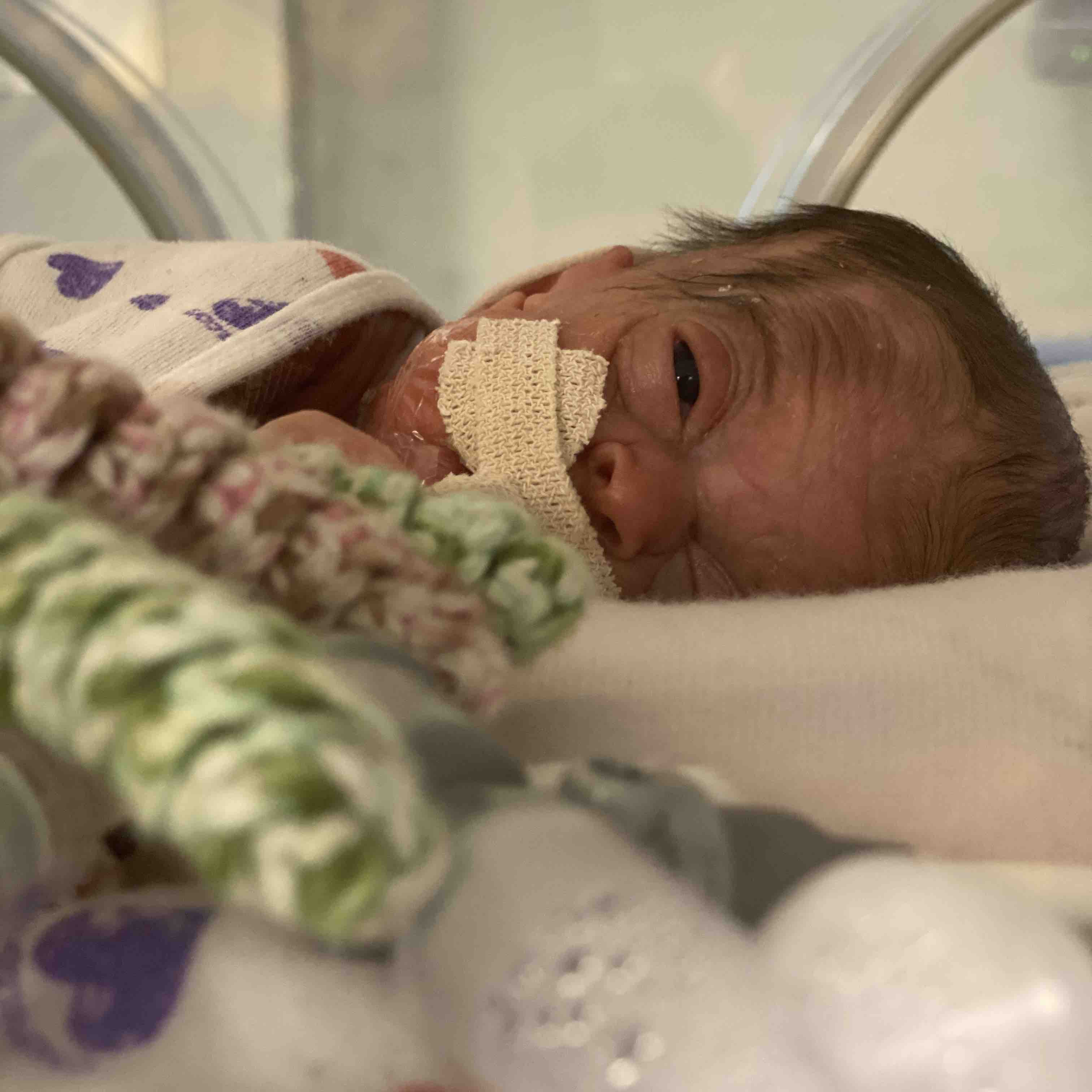 premature twins 2 - Live Action News
