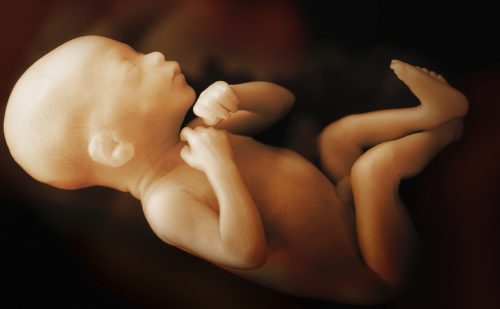 Planned Parenthood falsely claims the phrase ‘late-term abortion’ is anti-abortion propaganda